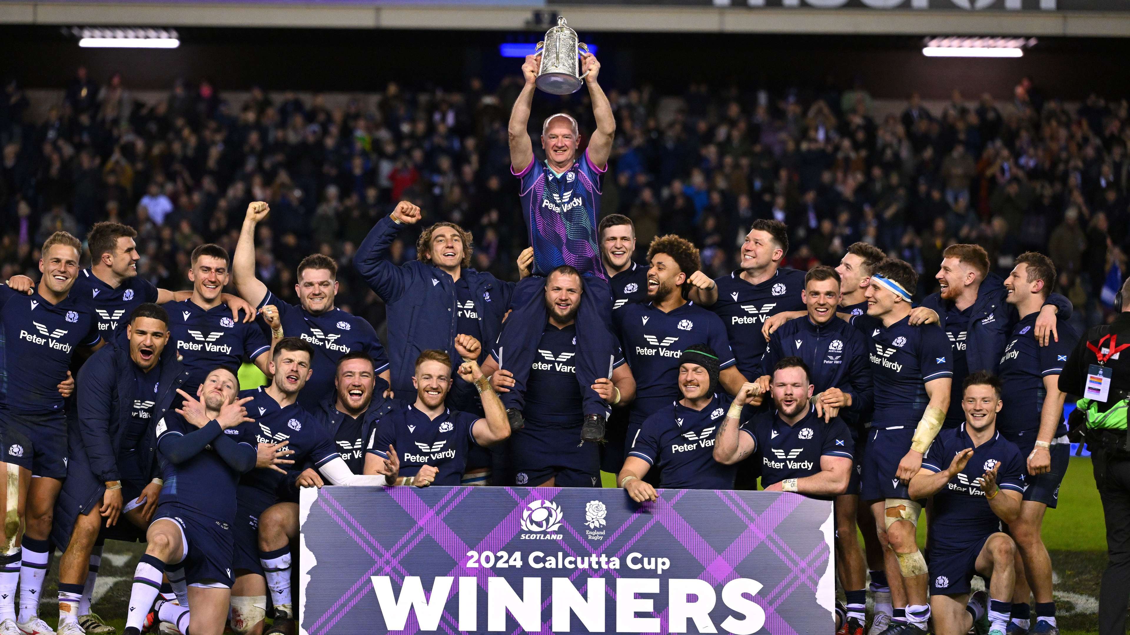 反觀森林狼 反觀森林狼