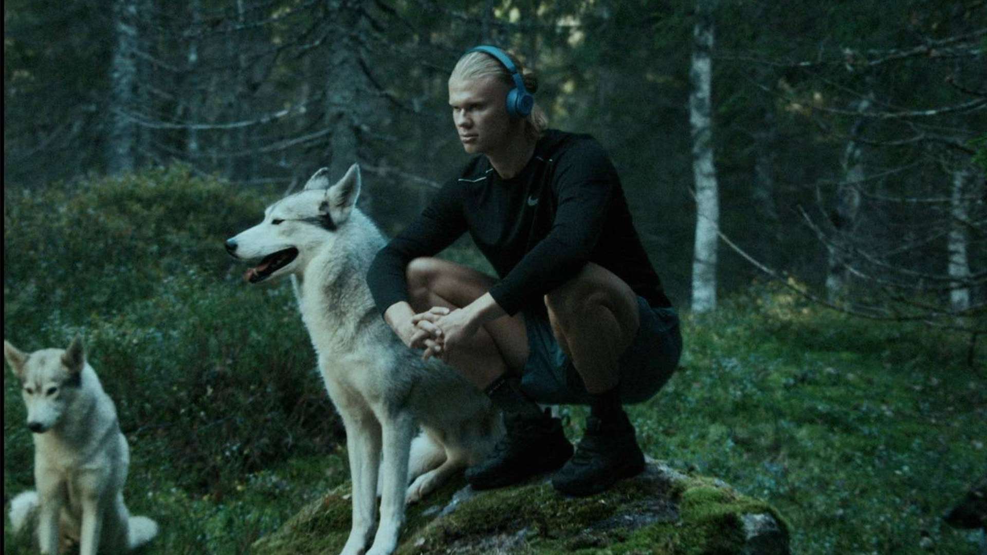 这场胜利无 这场胜利无